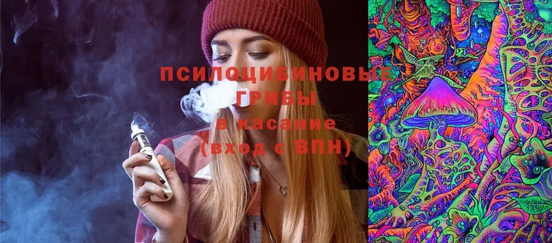 площадка как зайти  что такое наркотик  Лобня  Псилоцибиновые грибы Magic Shrooms 